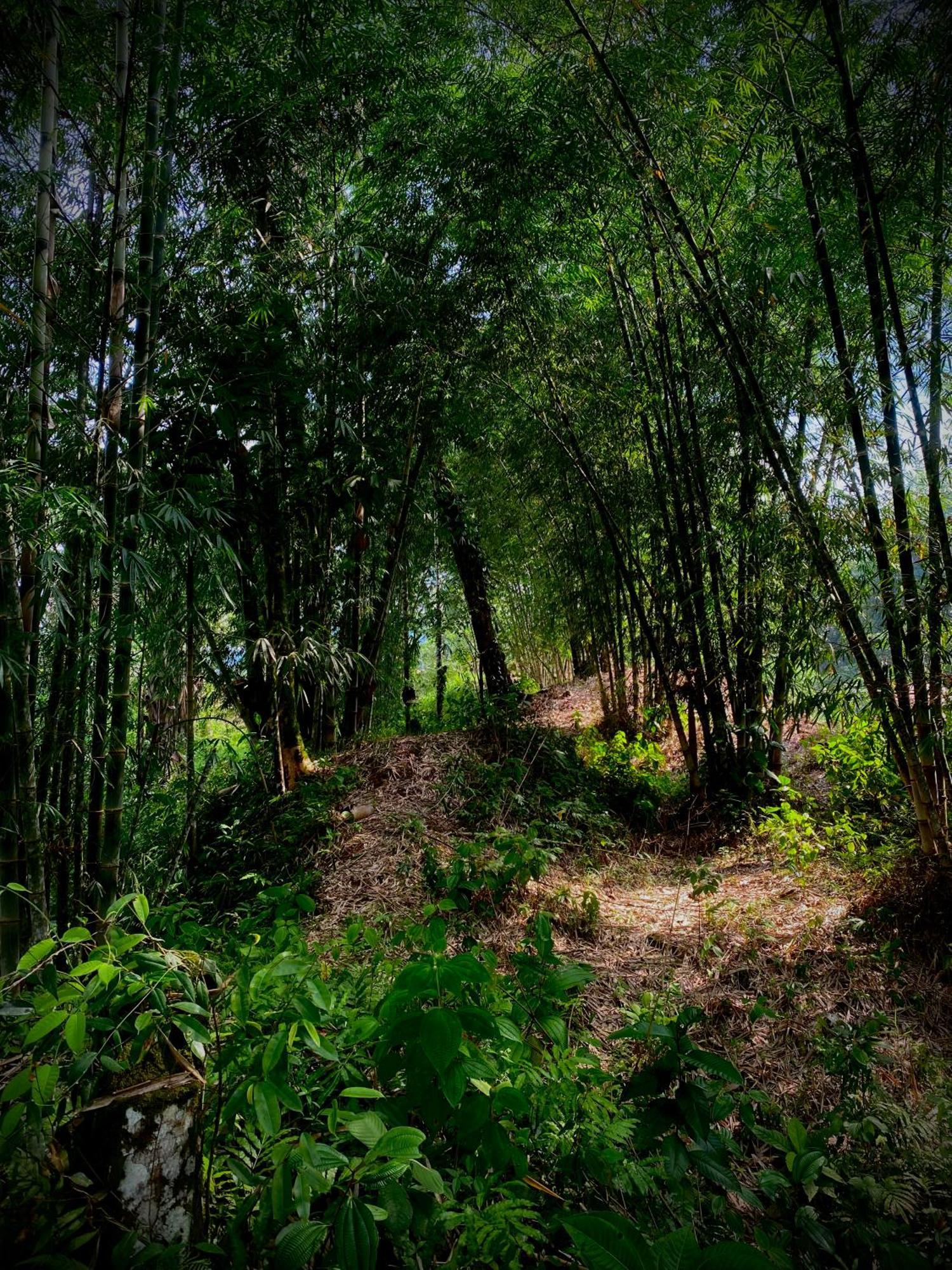 Casa En Santuario Natural En La Amazonia Villa Veracruz  Dış mekan fotoğraf